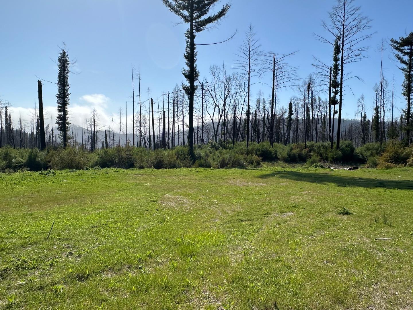 Front Image Thumbnail for ML82001953