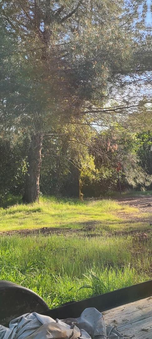 Front Image Thumbnail for ML82002821