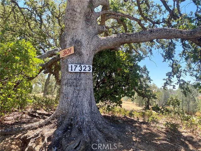 Front Image Thumbnail for ML82003200