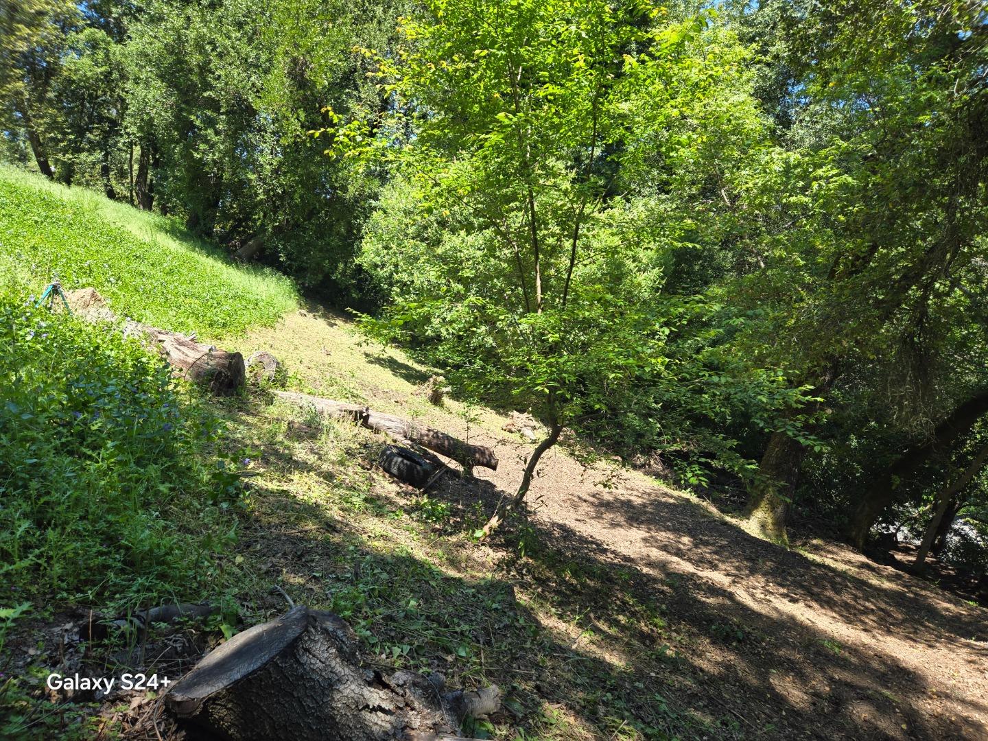 Front Image Thumbnail for ML82004872