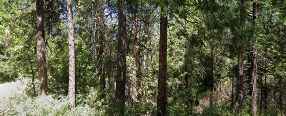 Front Image Thumbnail for ML82005875