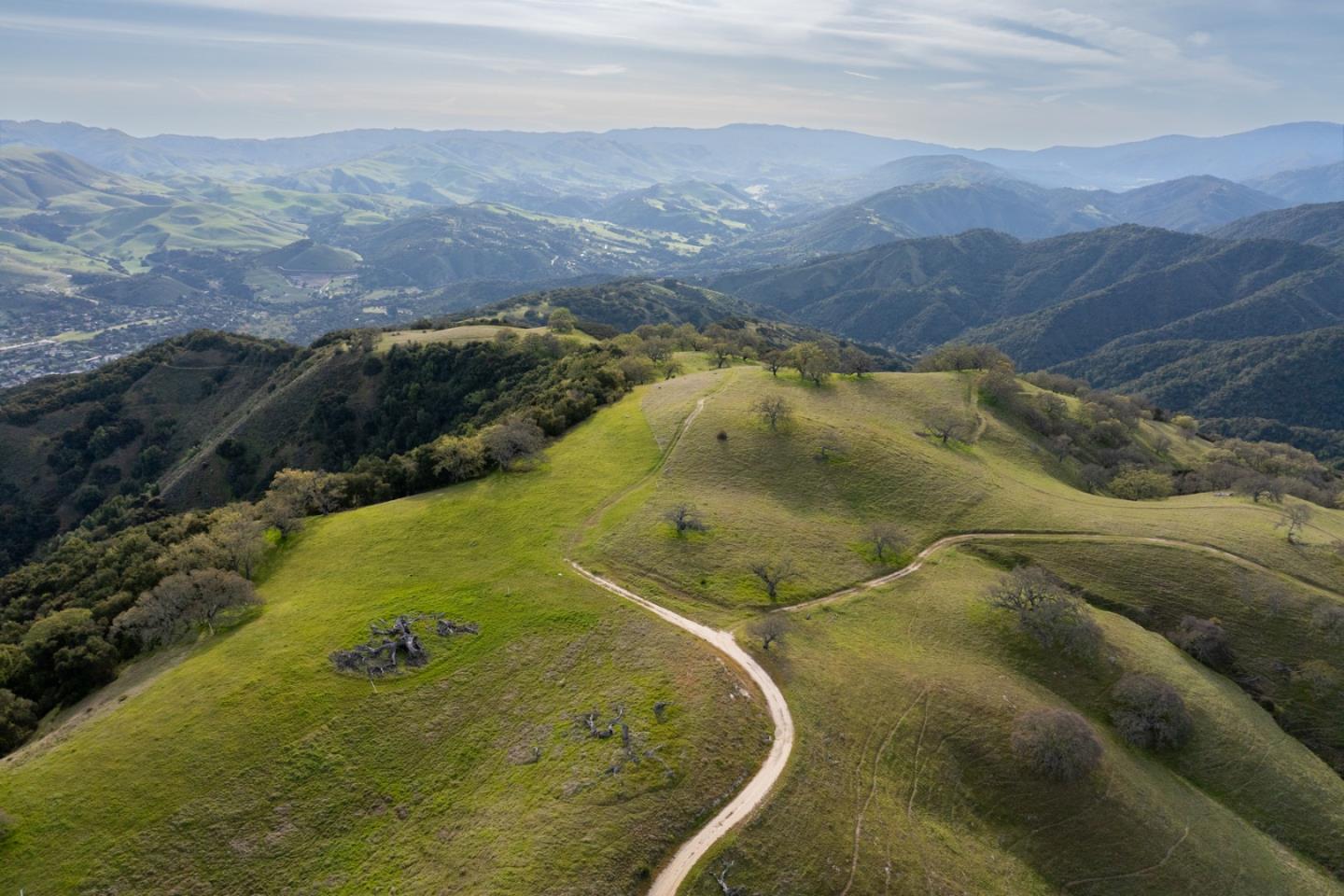 Front Image Thumbnail for ML82006893