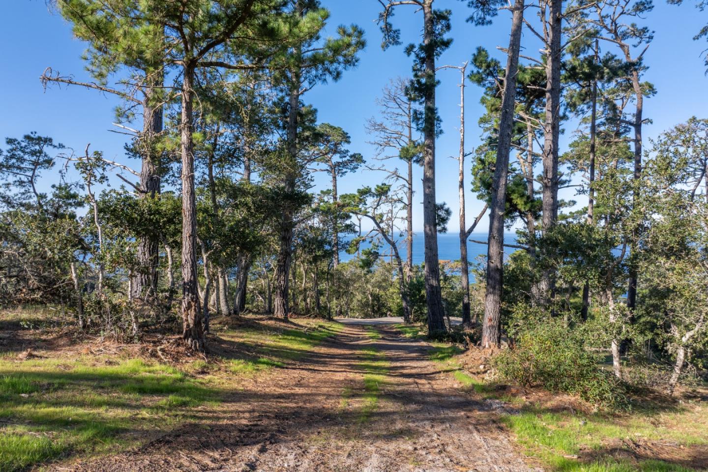 Front Image Thumbnail for ML82006900