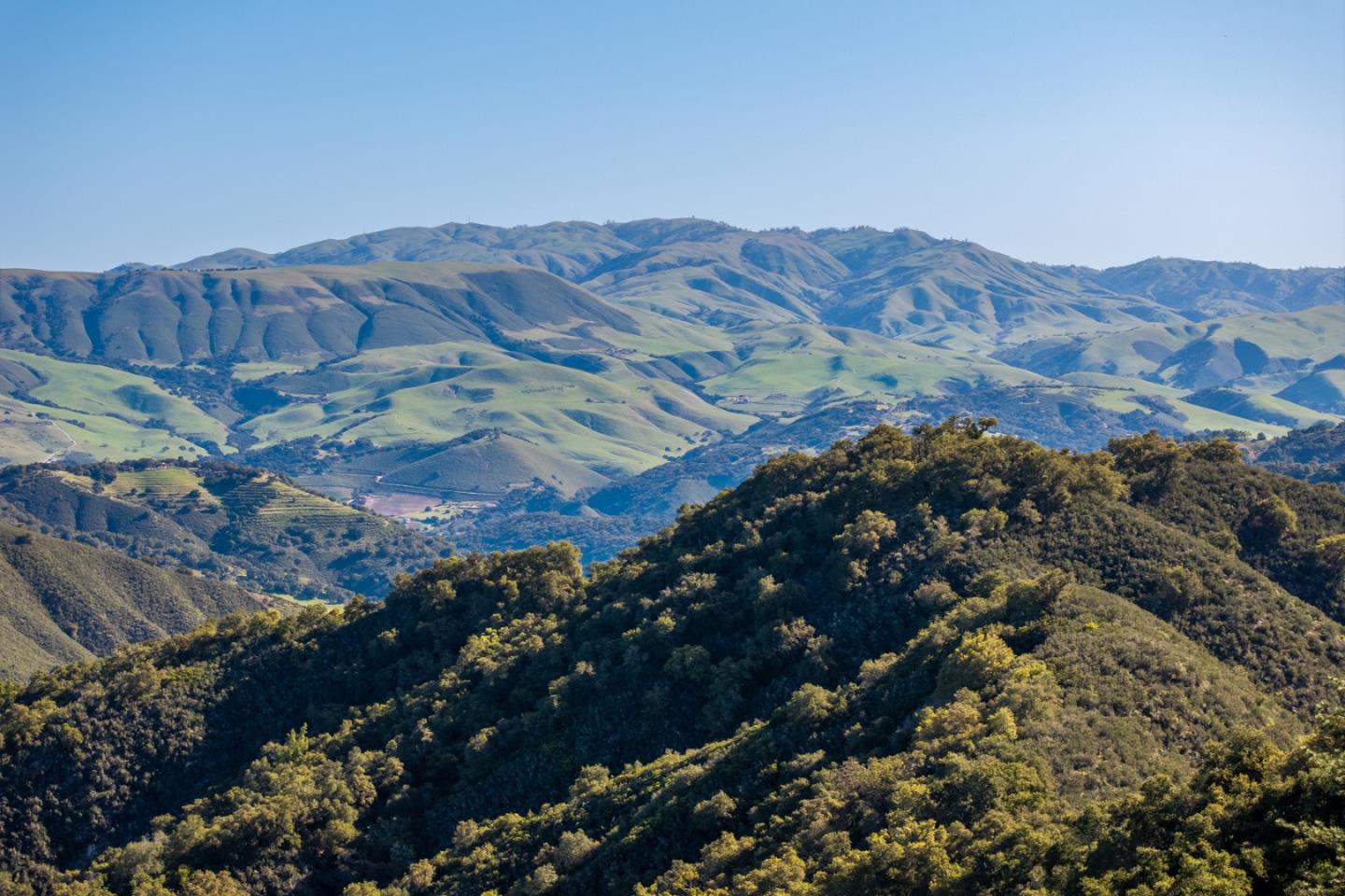 Front Image Thumbnail for ML82006903