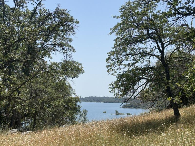 Front Image Thumbnail for ML82008036