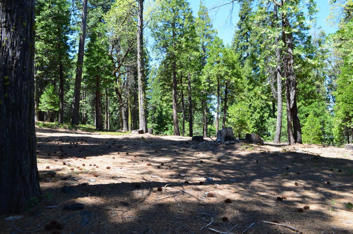 Front Image Thumbnail for ML82009013