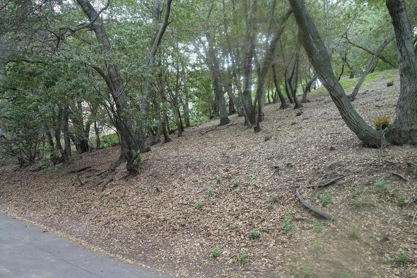 Front Image Thumbnail for ML82009665