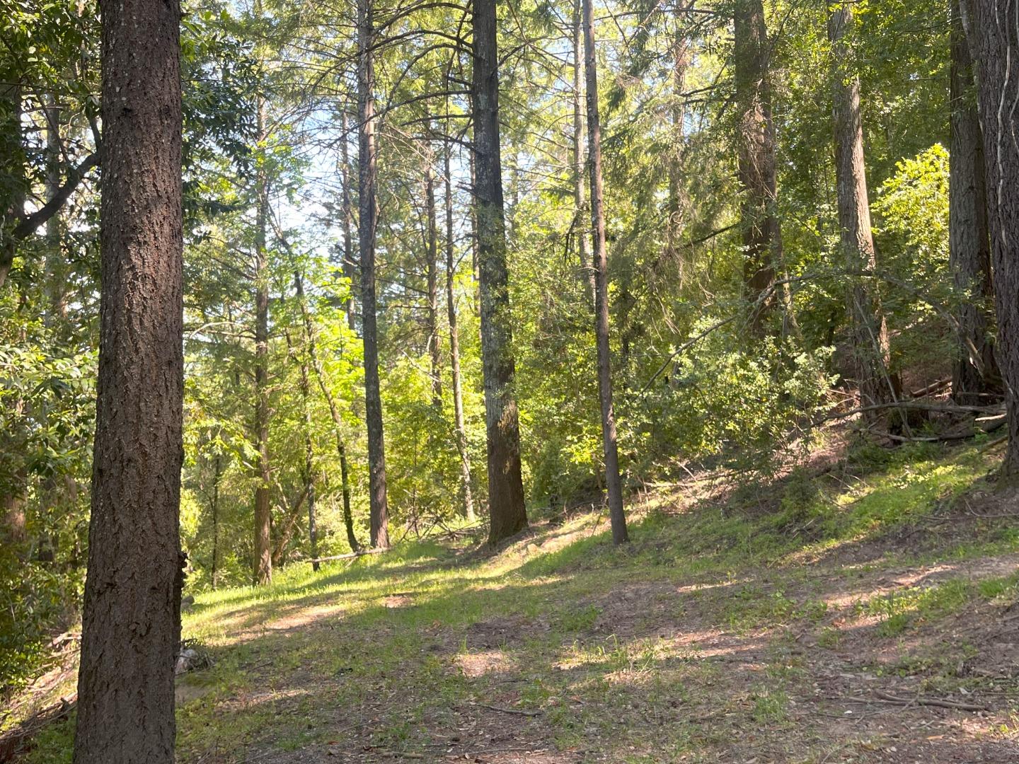 Front Image Thumbnail for ML82009957