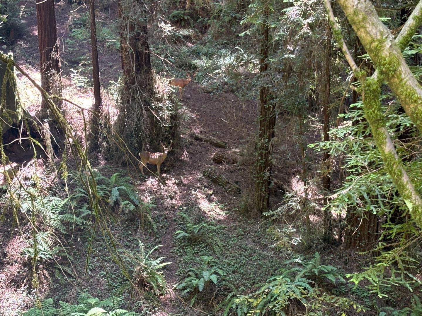 Front Image Thumbnail for ML82011419