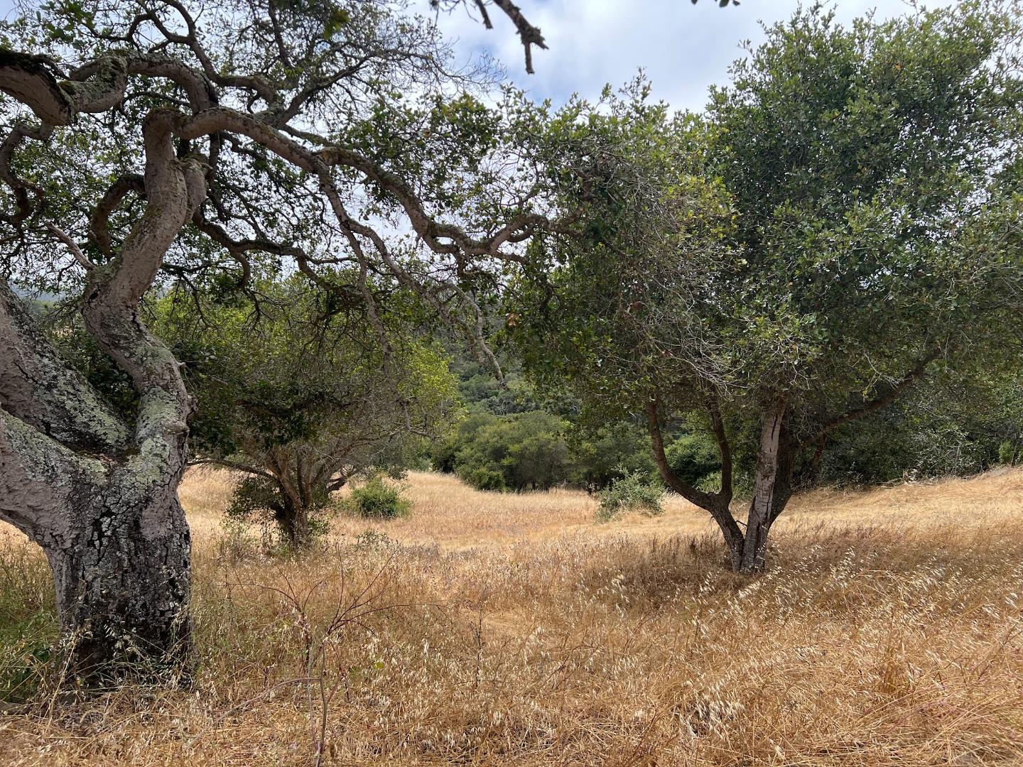 Front Image Thumbnail for ML82011548