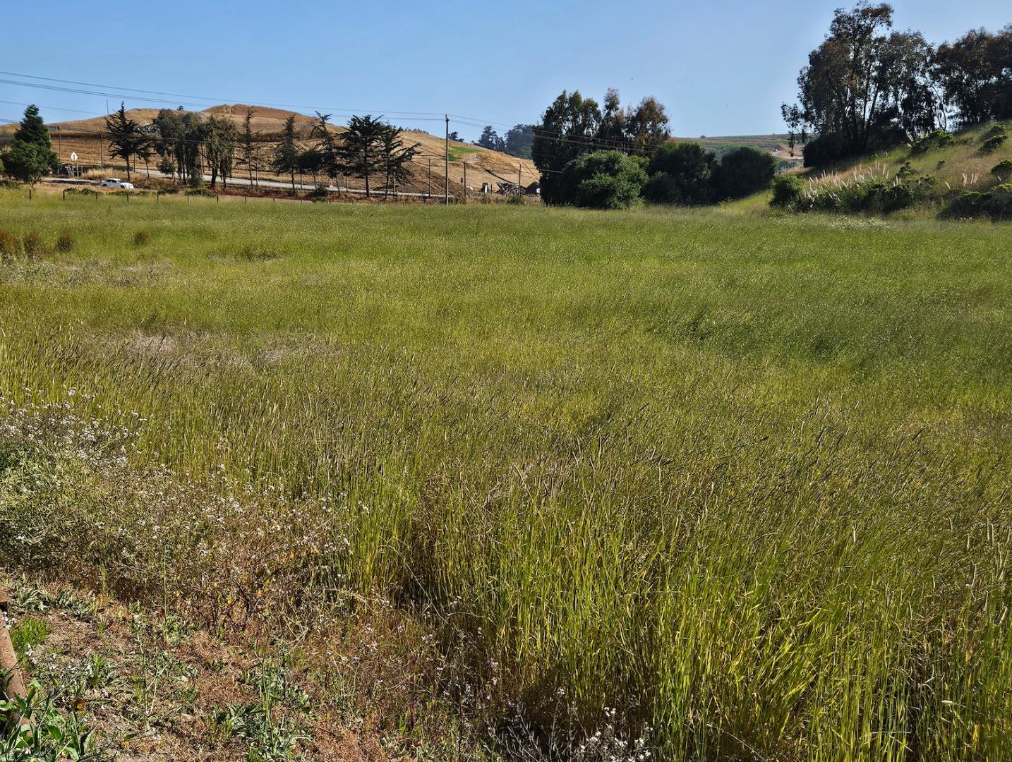 Front Image Thumbnail for ML82011684