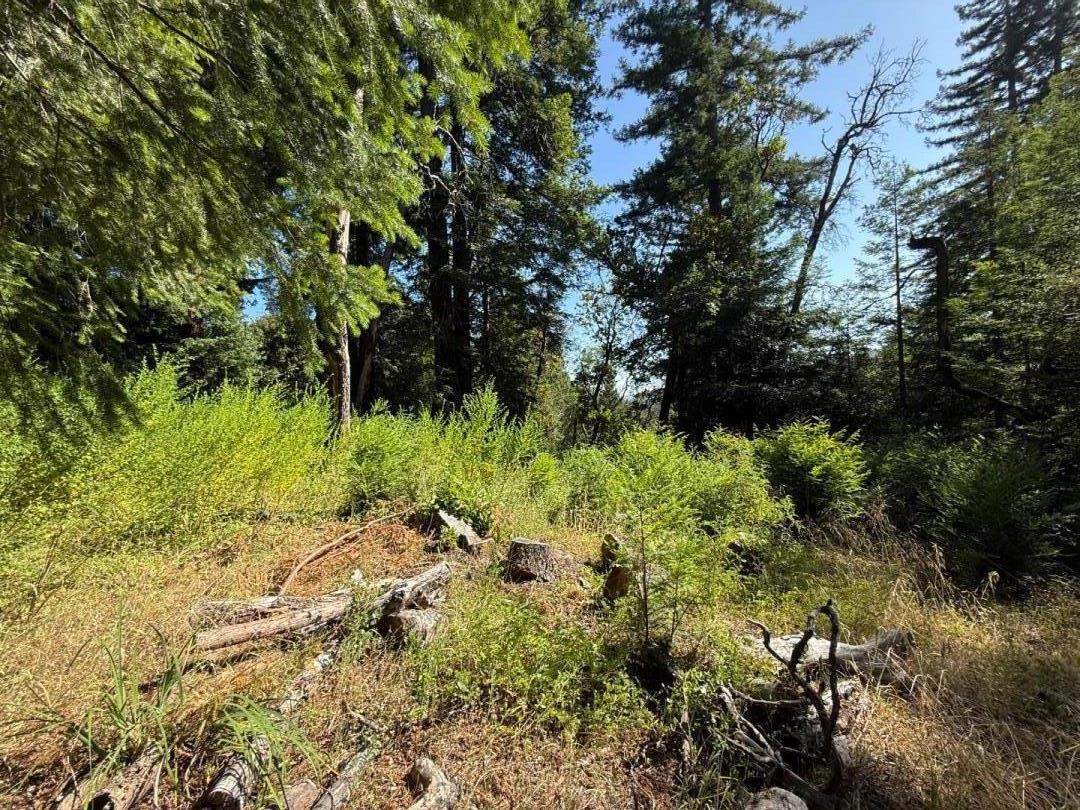 Front Image Thumbnail for ML82011850