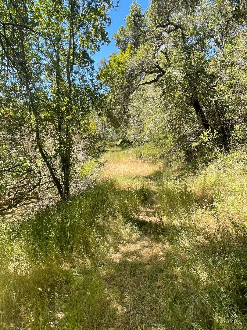 Front Image Thumbnail for ML82012016