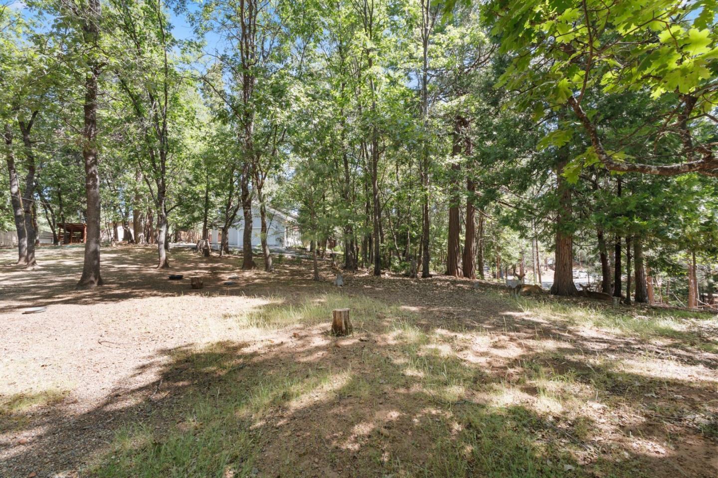 Front Image Thumbnail for ML82012546