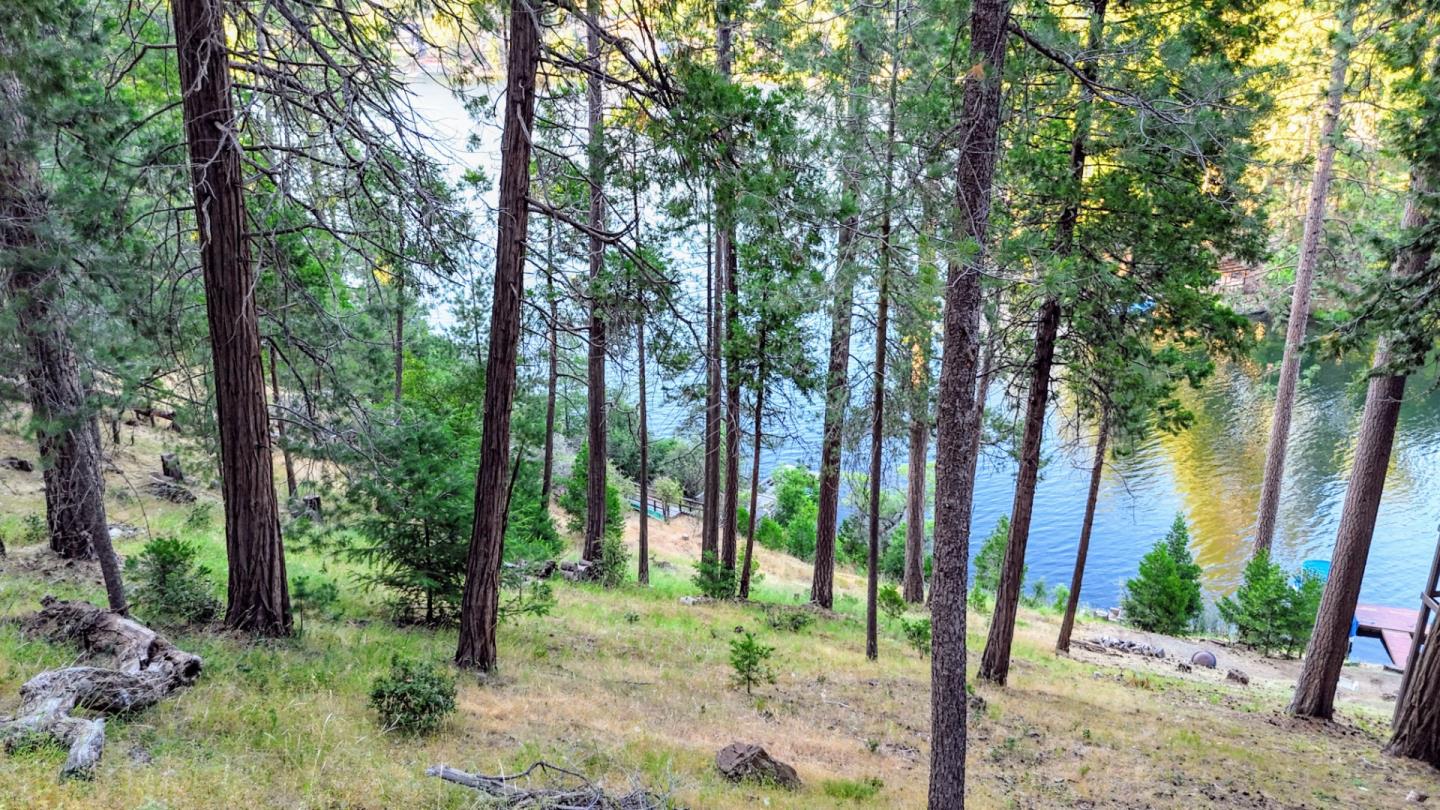 Front Image Thumbnail for ML82012618