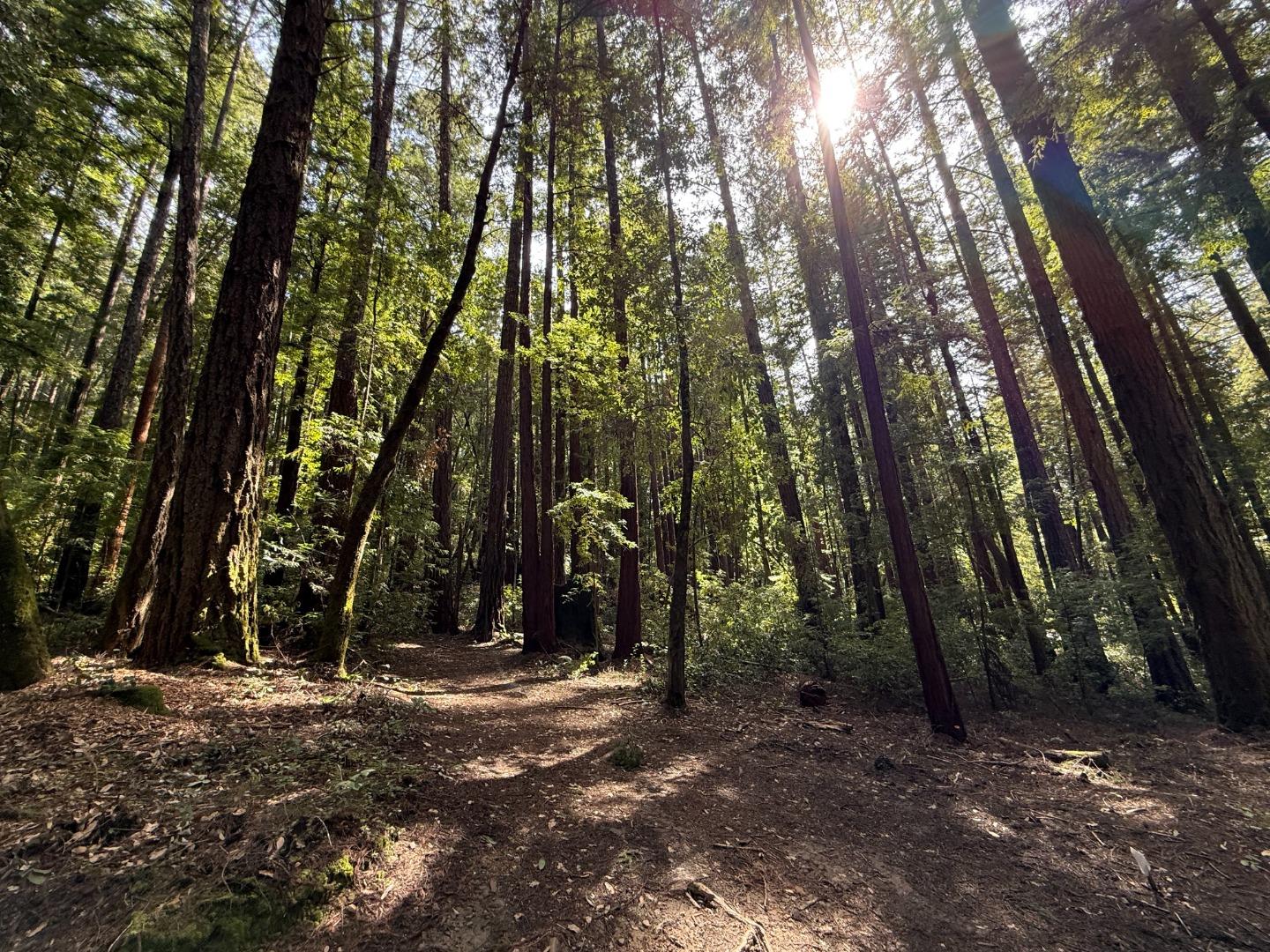 Front Image Thumbnail for ML82012798