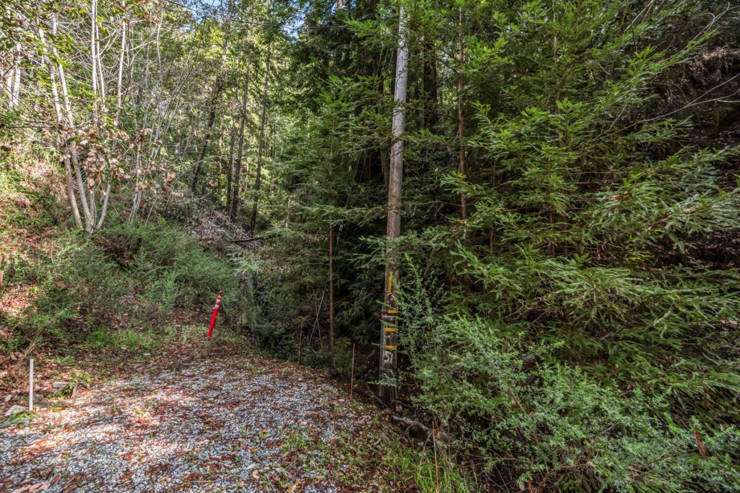 Front Image Thumbnail for ML82013202