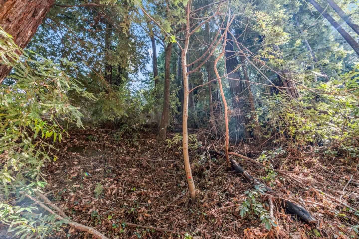 Front Image Thumbnail for ML82013205