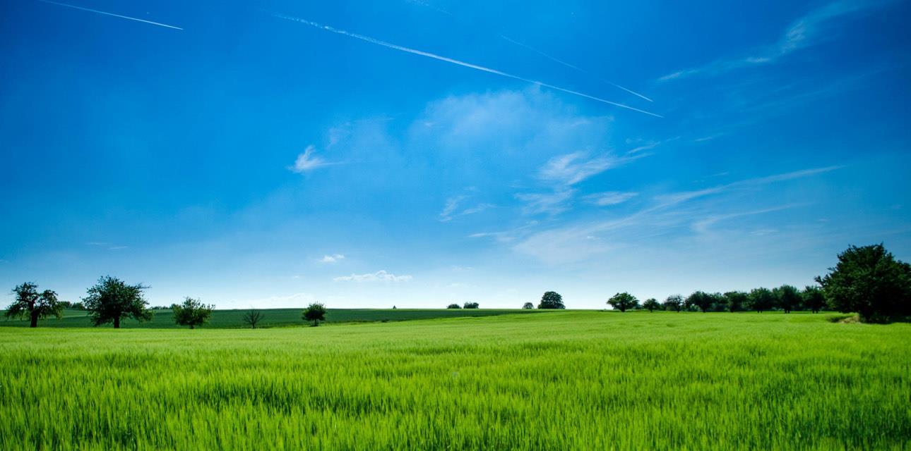 Front Image Thumbnail for ML82013337