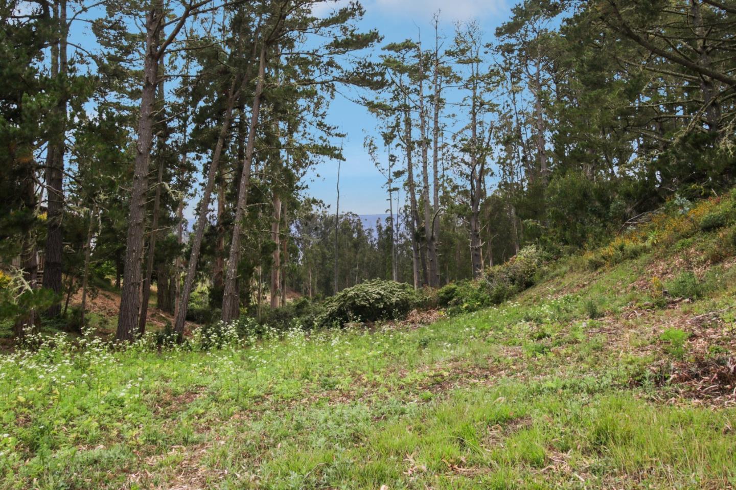 Front Image Thumbnail for ML82014385