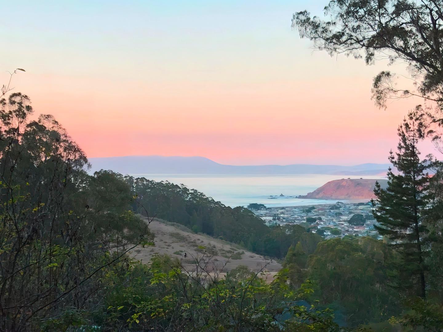 Front Image Thumbnail for ML82014911