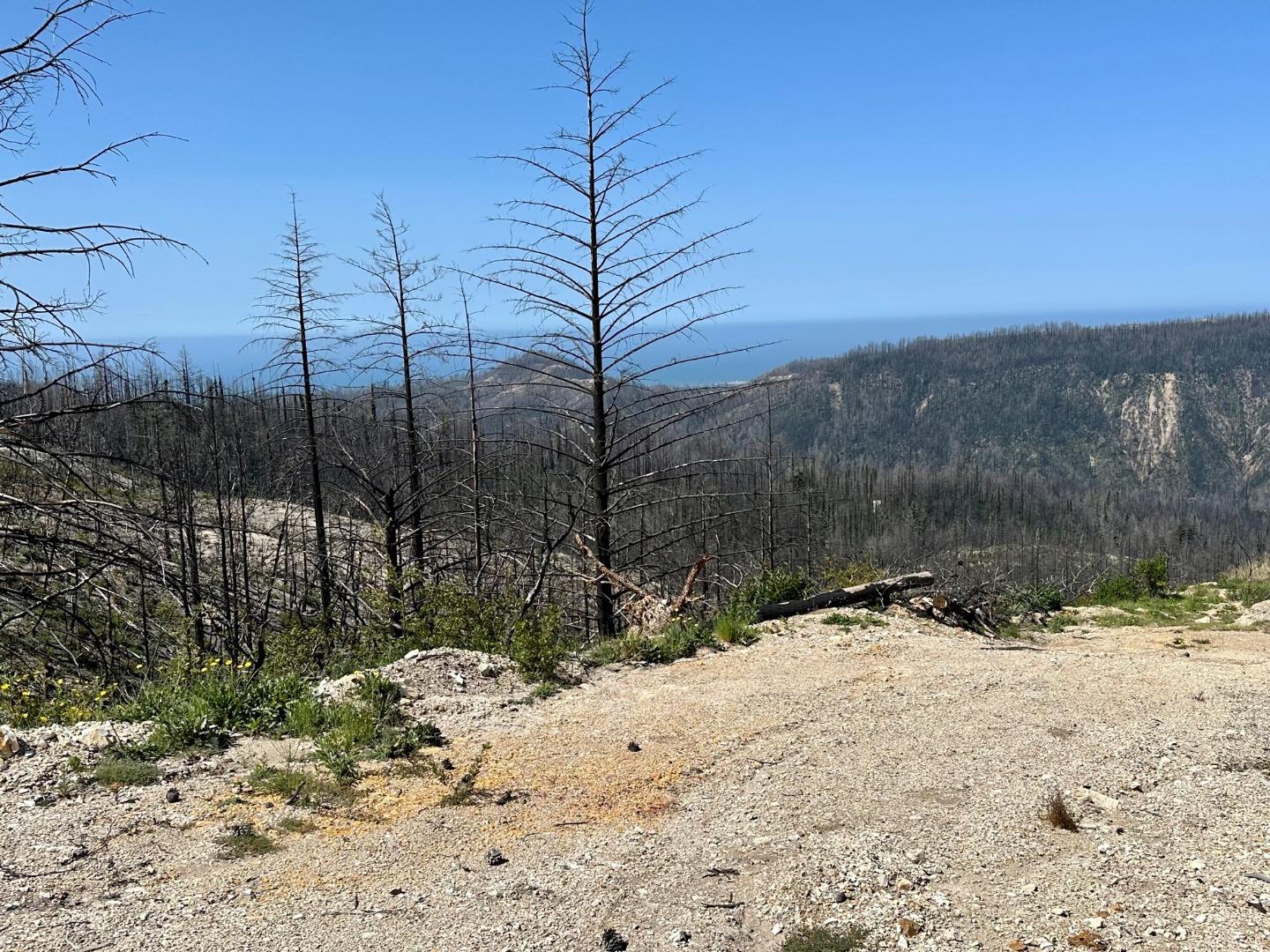 Front Image Thumbnail for ML82015283