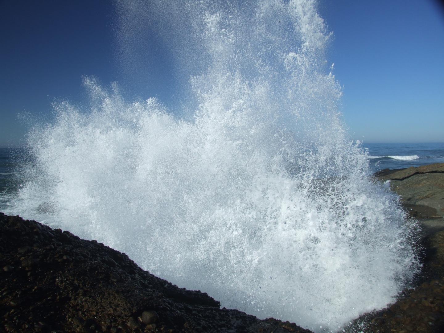 Front Image Thumbnail for ML82015288