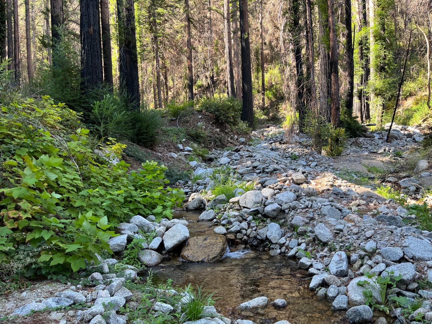 Front Image Thumbnail for ML82015720