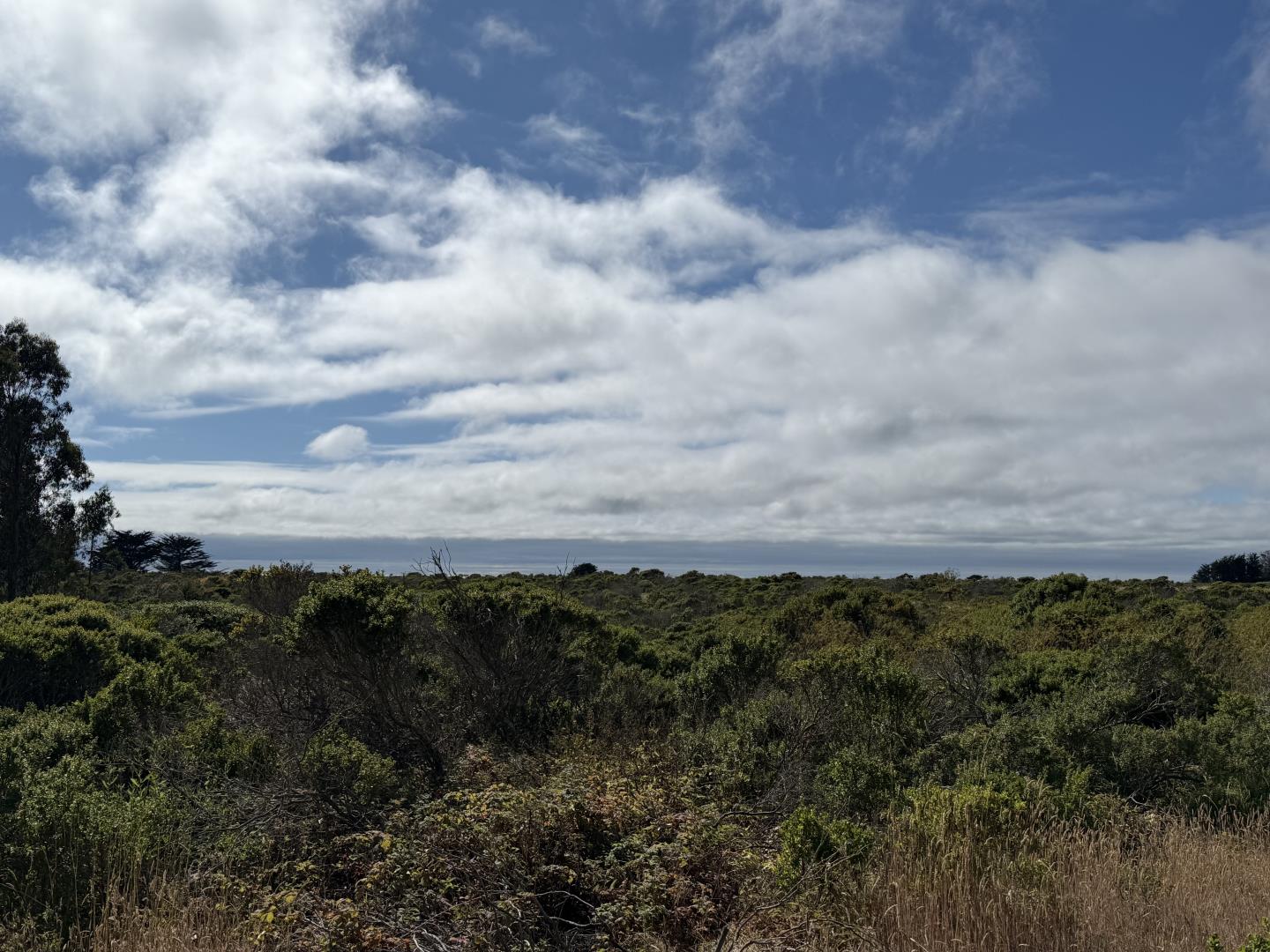 Front Image Thumbnail for ML82015926