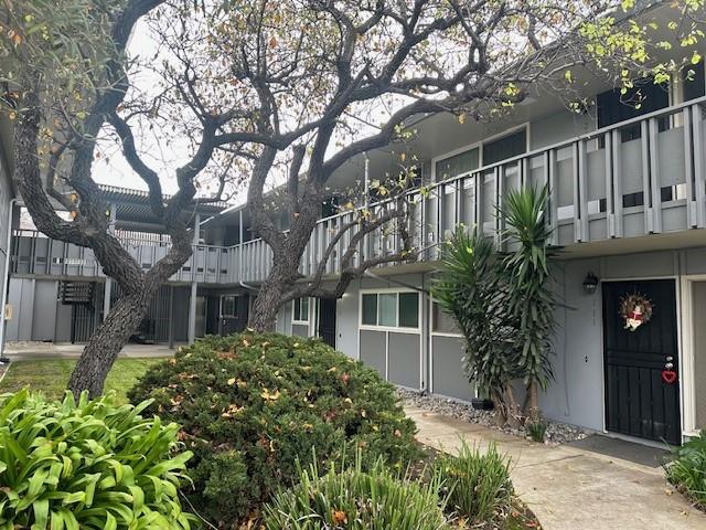 Front Image Thumbnail for ML82016599