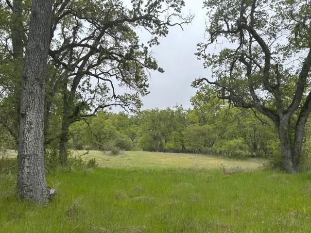 Front Image Thumbnail for ML82017559