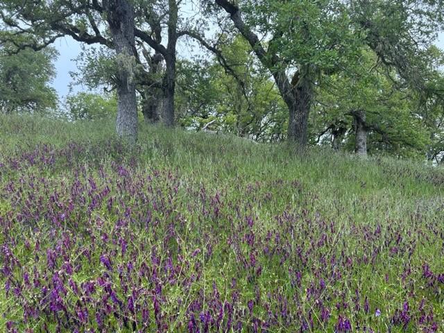 Front Image Thumbnail for ML82017560