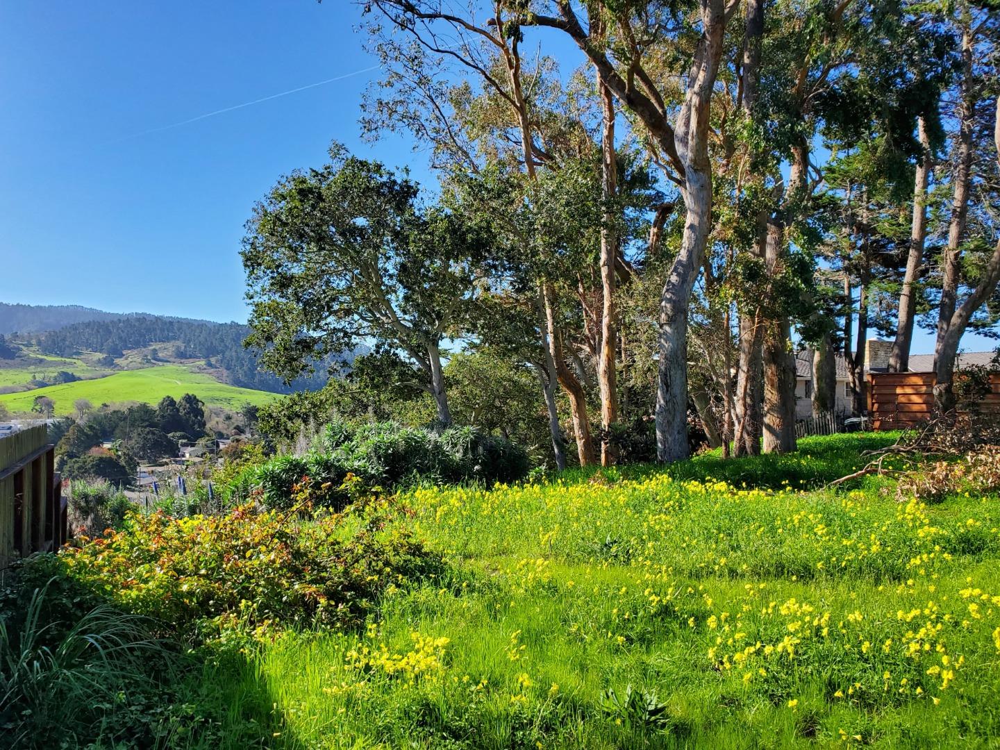 Front Image Thumbnail for ML82017570