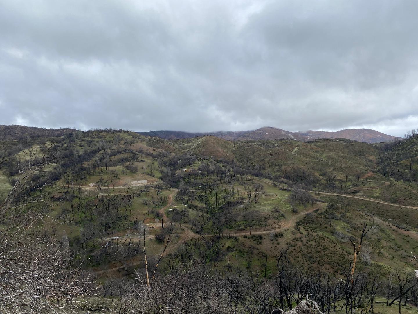 Front Image Thumbnail for ML82018445