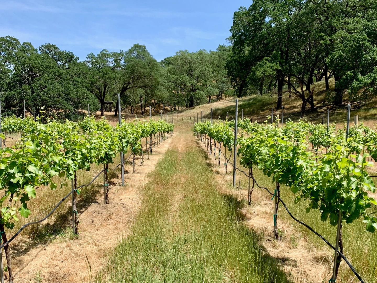 Front Image Thumbnail for ML82019382