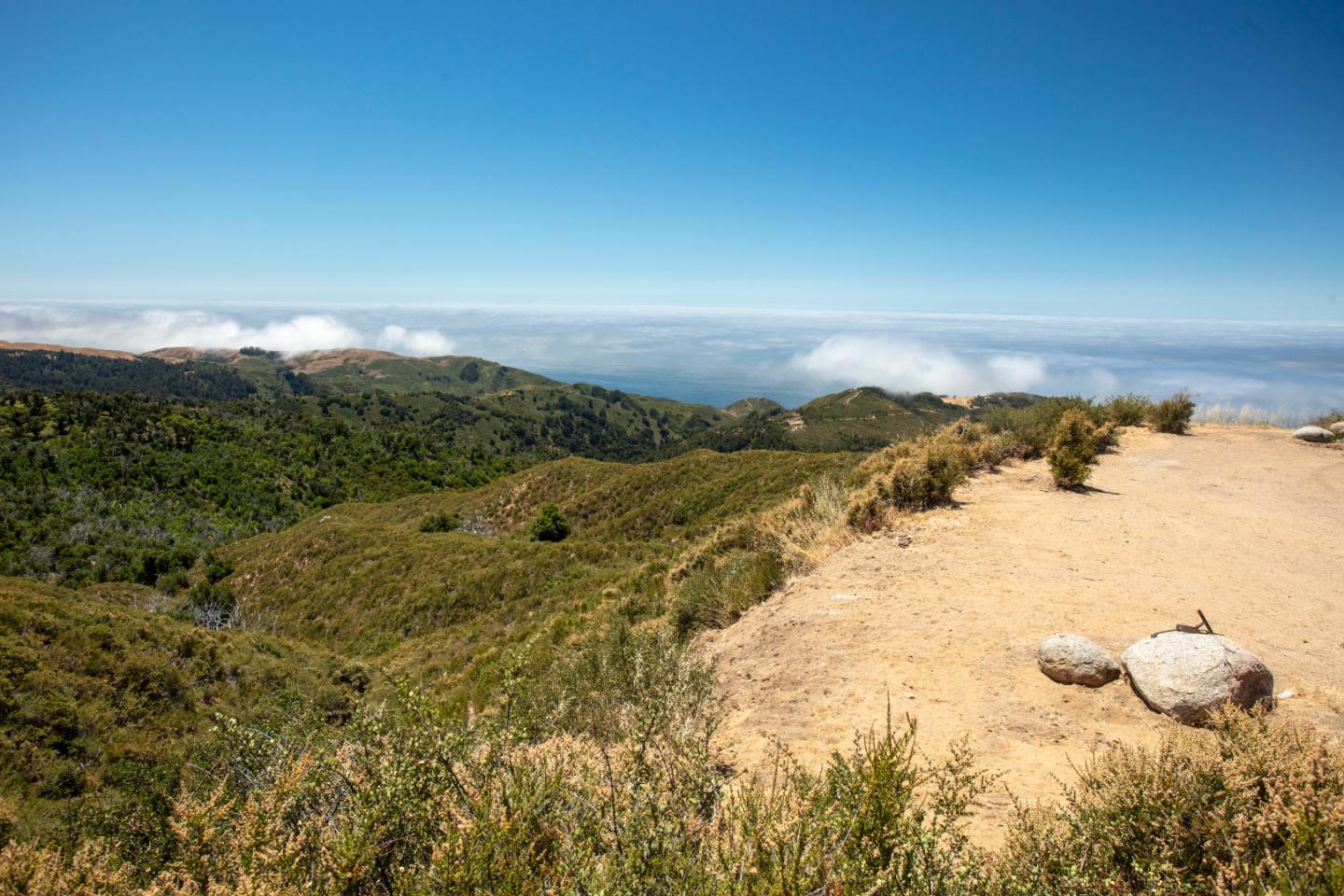 Front Image Thumbnail for ML82019607