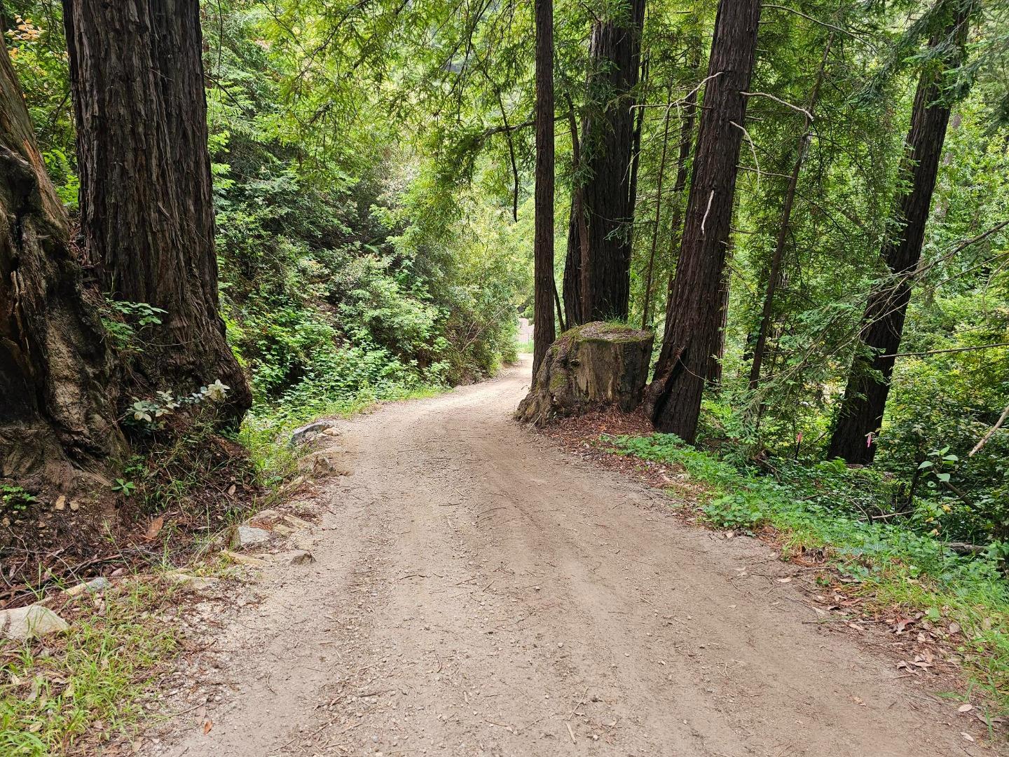 Front Image Thumbnail for ML82020219