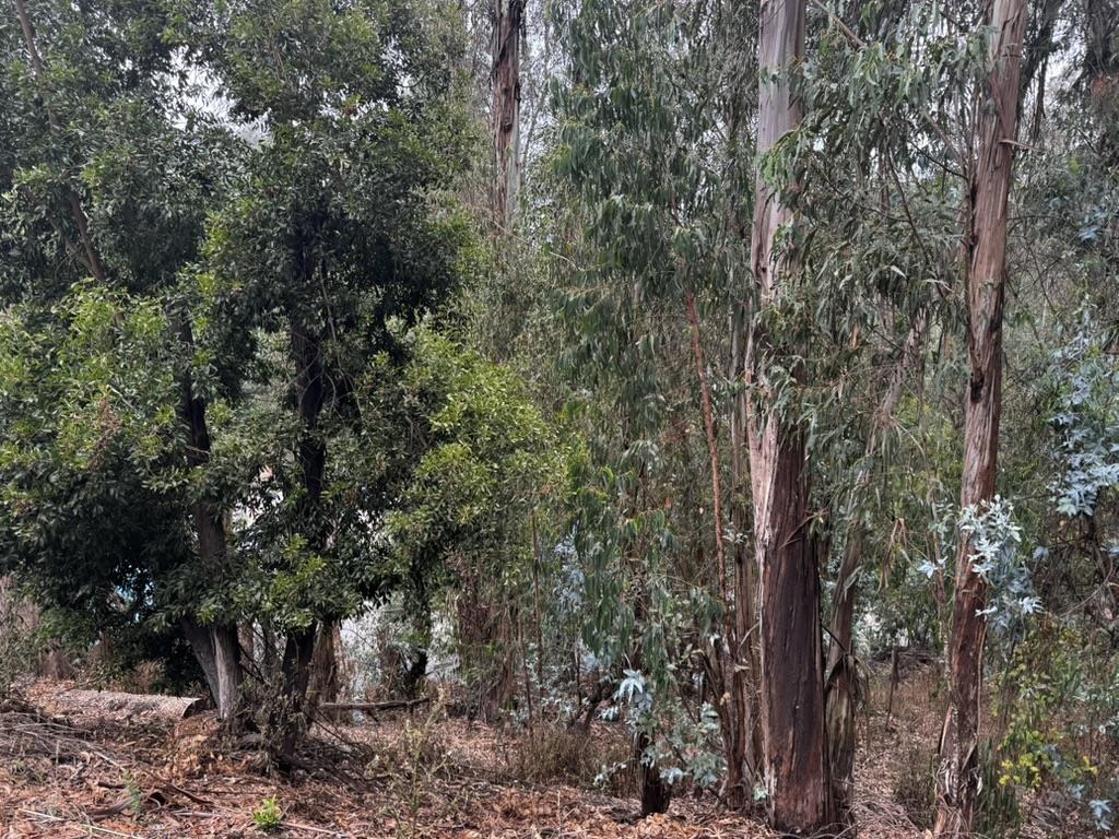 Front Image Thumbnail for ML82021923