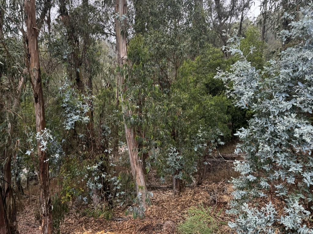 Front Image Thumbnail for ML82021924