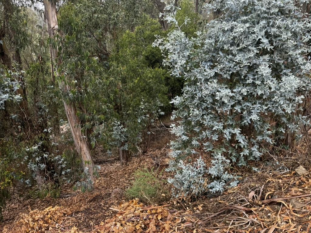 Front Image Thumbnail for ML82021925