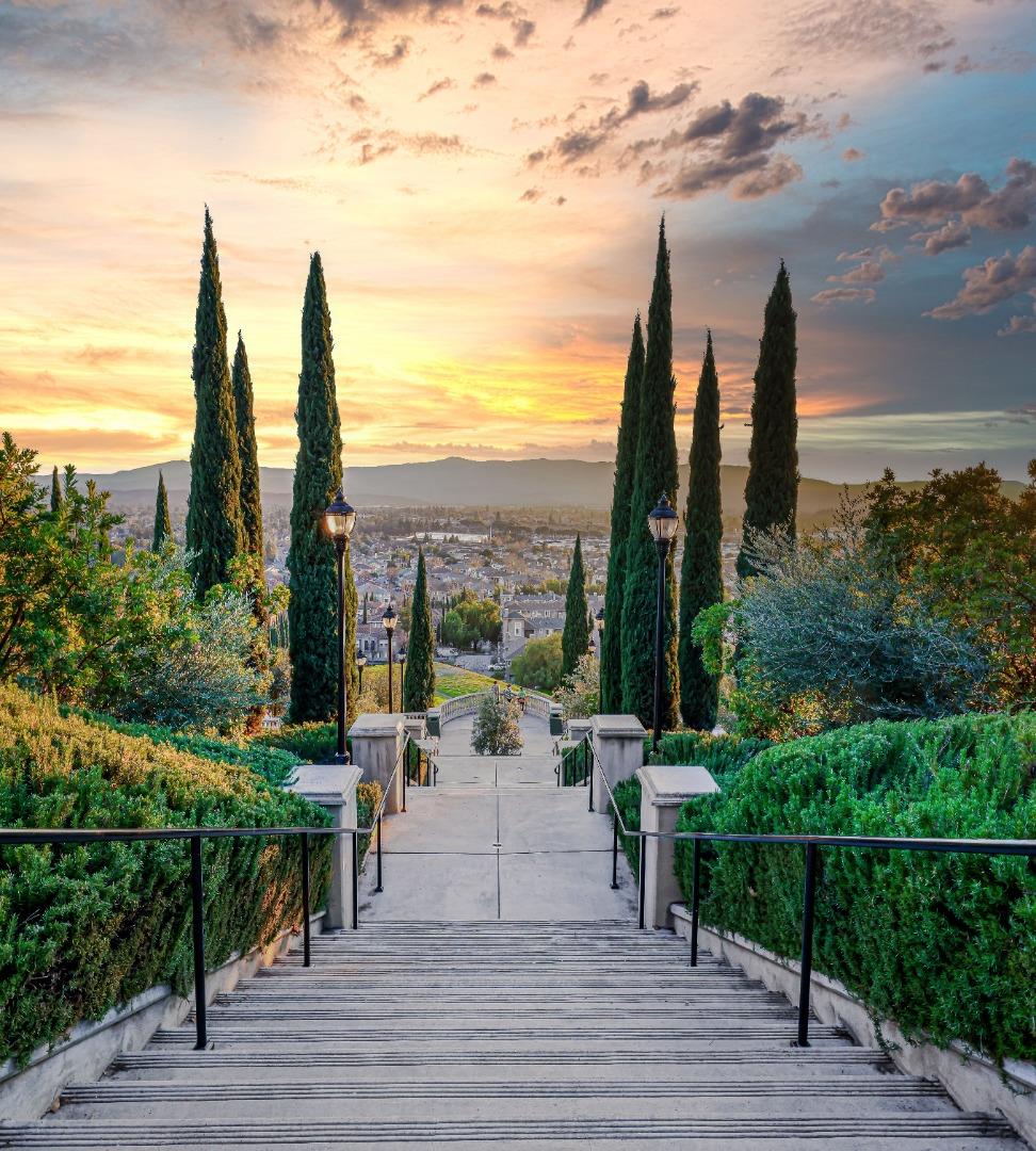 Front Image Thumbnail for ML82022939