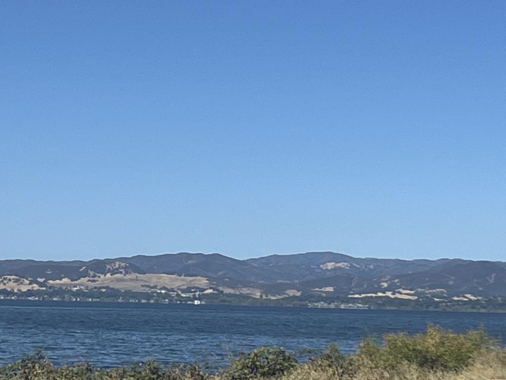 Front Image Thumbnail for ML82022990