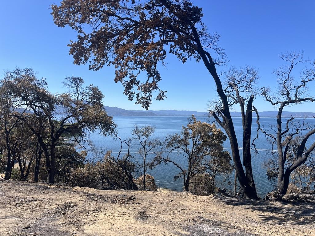 Front Image Thumbnail for ML82022991