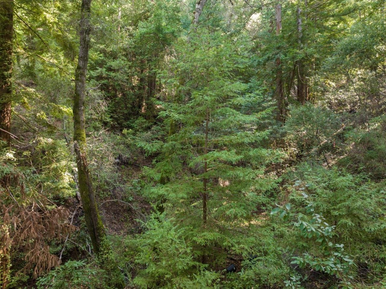 Front Image Thumbnail for ML82023518