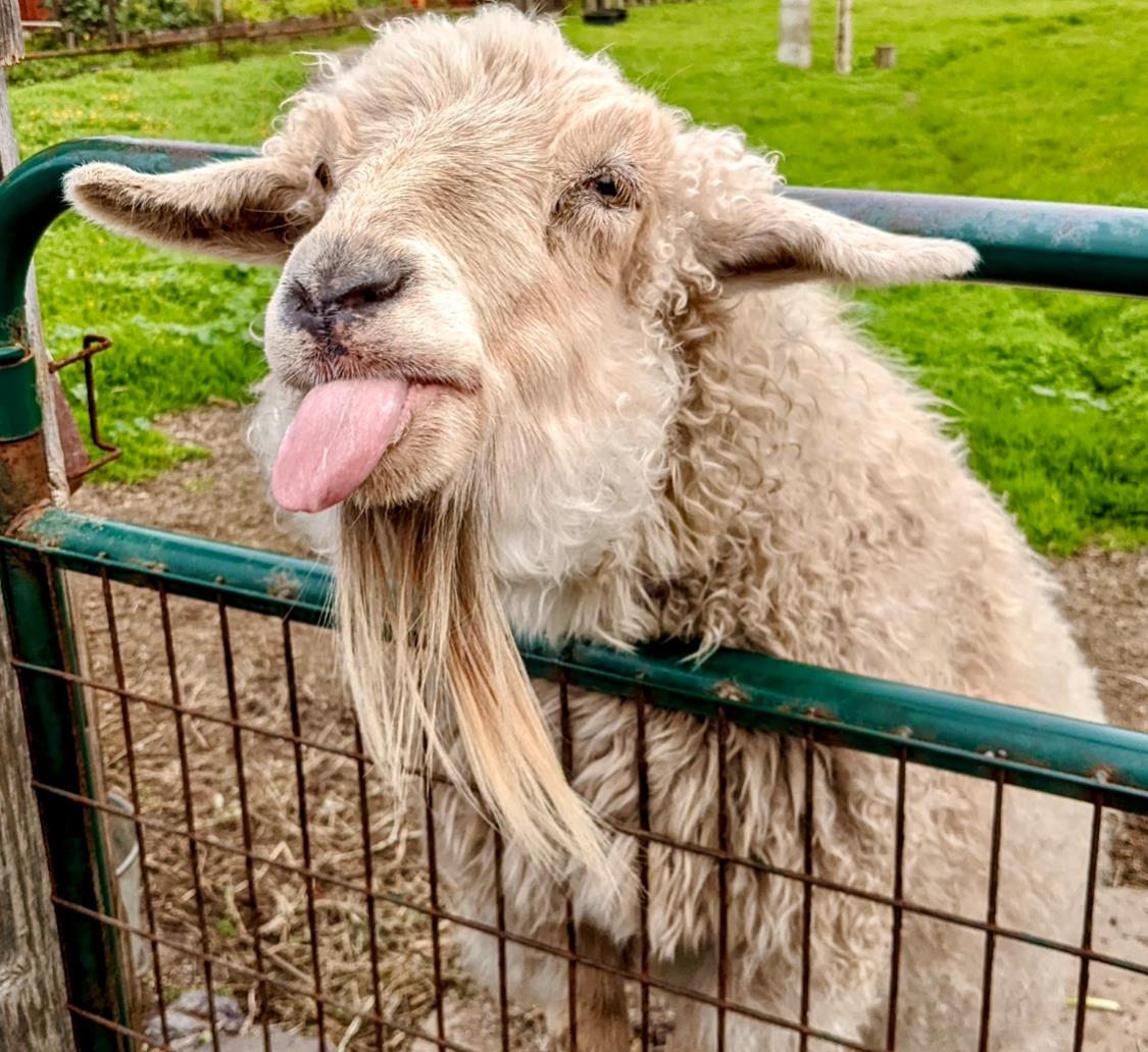 Front Image Thumbnail for ML82023617