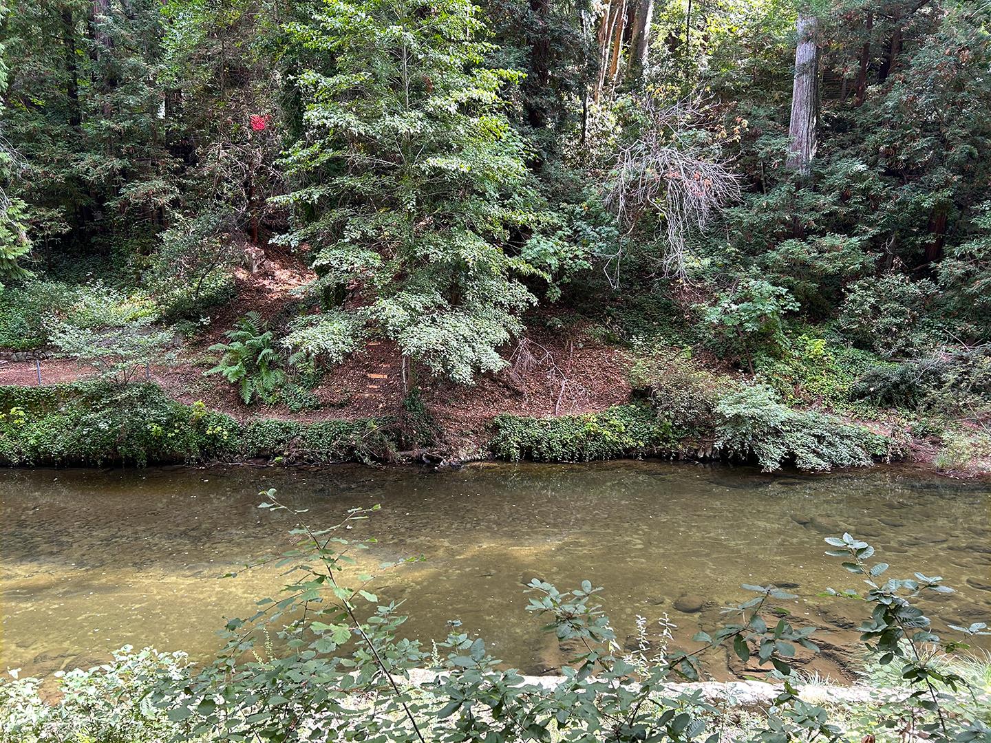 Front Image Thumbnail for ML82024106