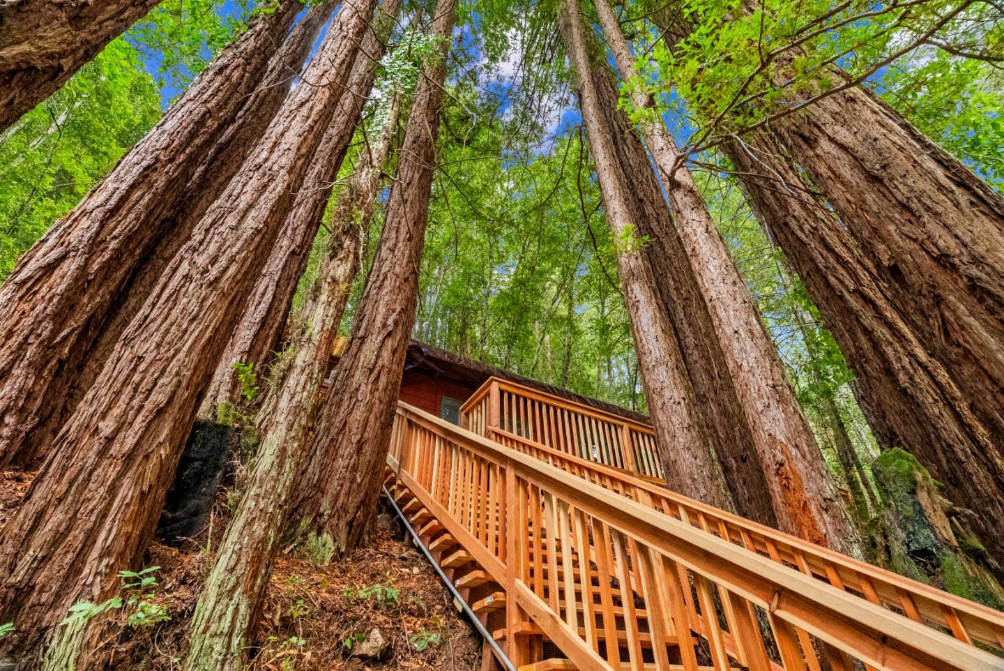 Front Image Thumbnail for ML82024334