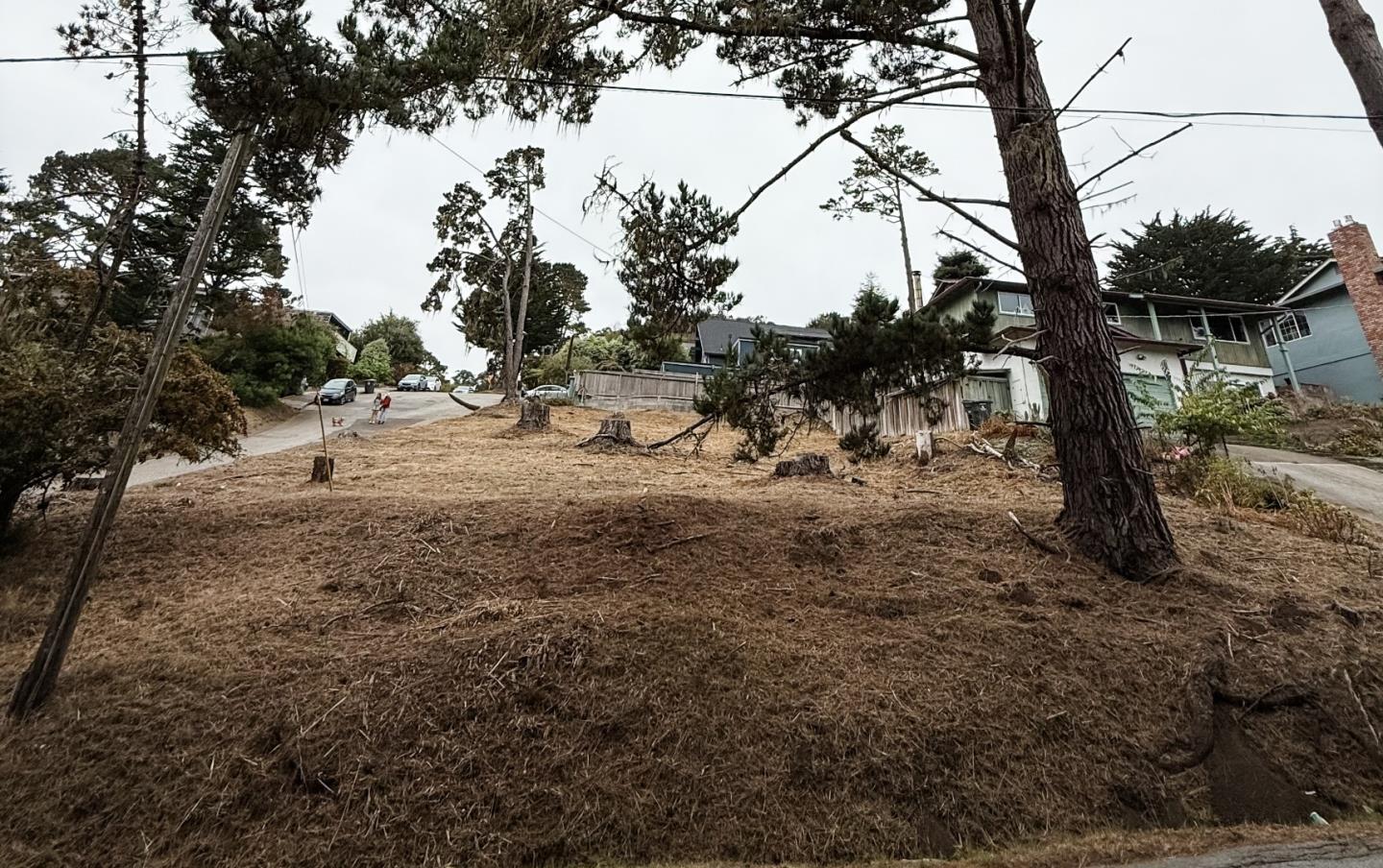 Front Image Thumbnail for ML82024457