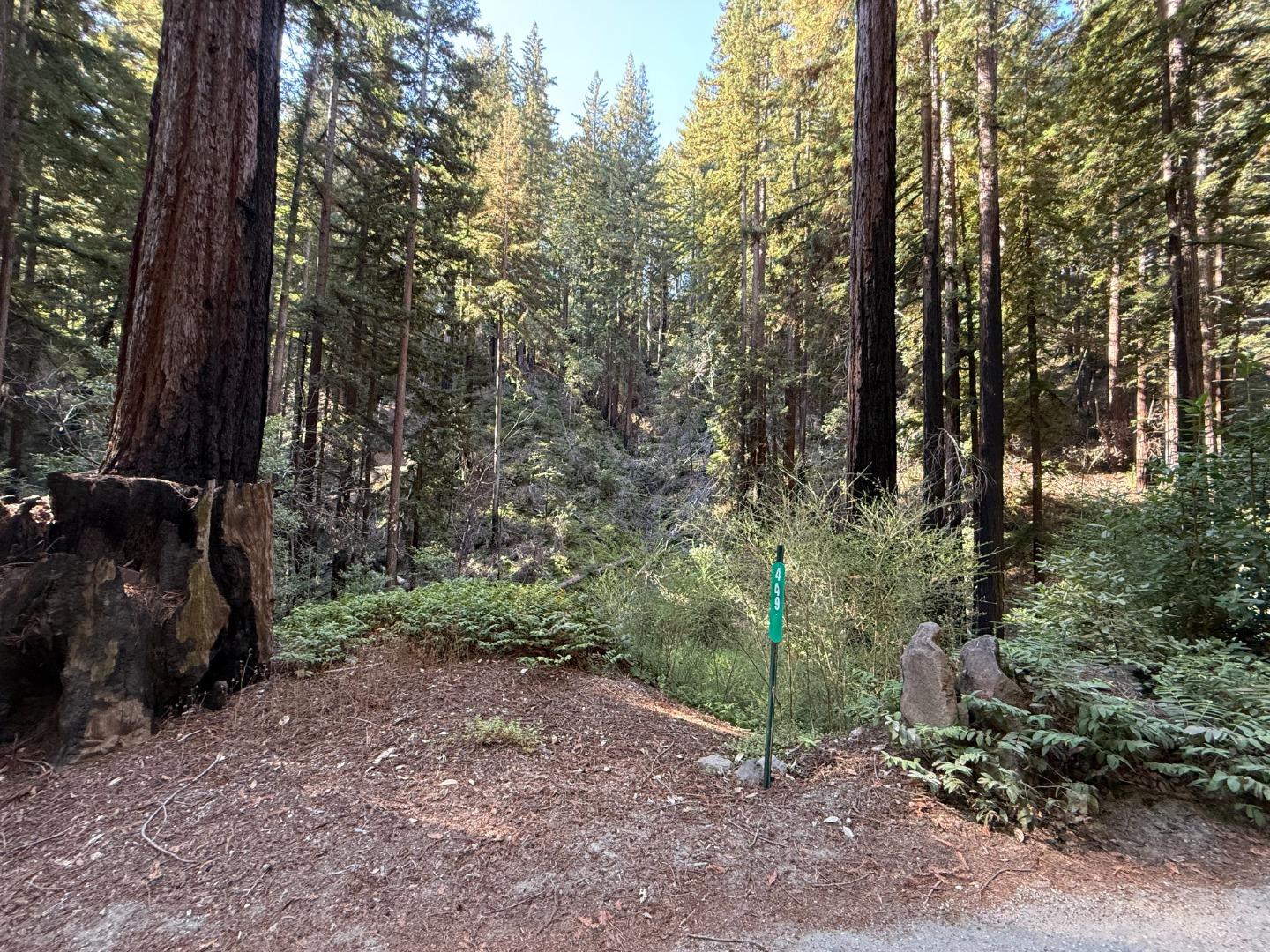 Front Image Thumbnail for ML82025135