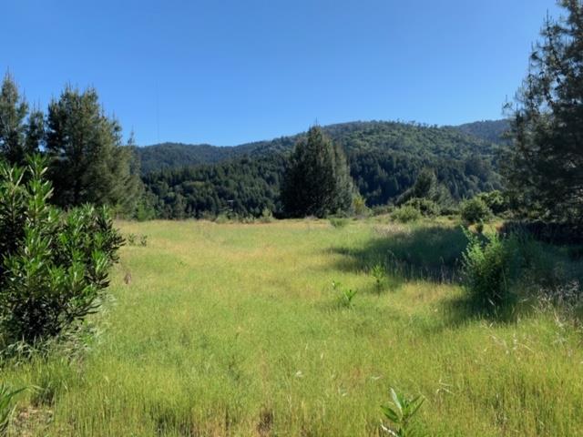 Front Image Thumbnail for ML82025208